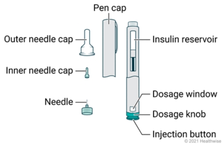 Insulin pen parts, including needle, inner and outer needle caps, pen cap, insulin reservoir, dosage window, dosage knob, and injection button. Insulin pen parts, including needle, inner and outer needle caps, pen cap, insulin reservoir, dosage window, dosage knob, and injection button.