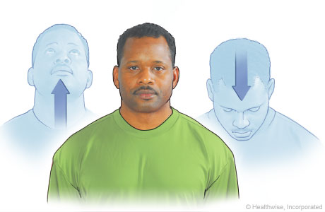 Head movement exercise up and down Head movement exercise up and down