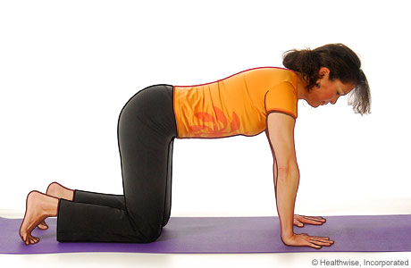 Picture of a woman in step one of the yoga cat cow pose Picture of a woman in step one of the yoga cat cow pose