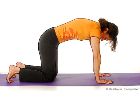 Picture of a woman in step two of the yoga cat cow pose Picture of a woman in step two of the yoga cat cow pose