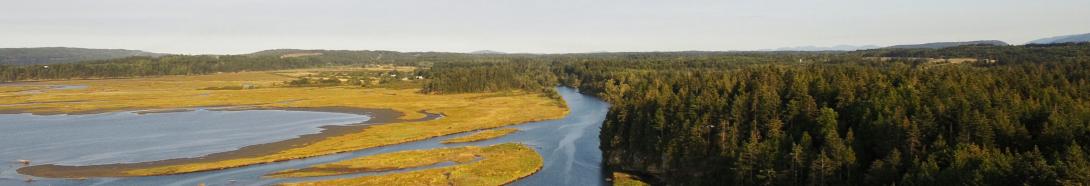 Nanaimo