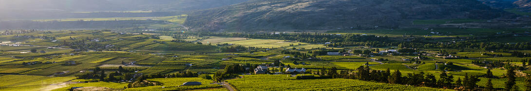 Oliver, BC